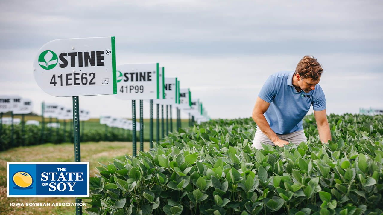Myron Stine standing in waist-high soybeans