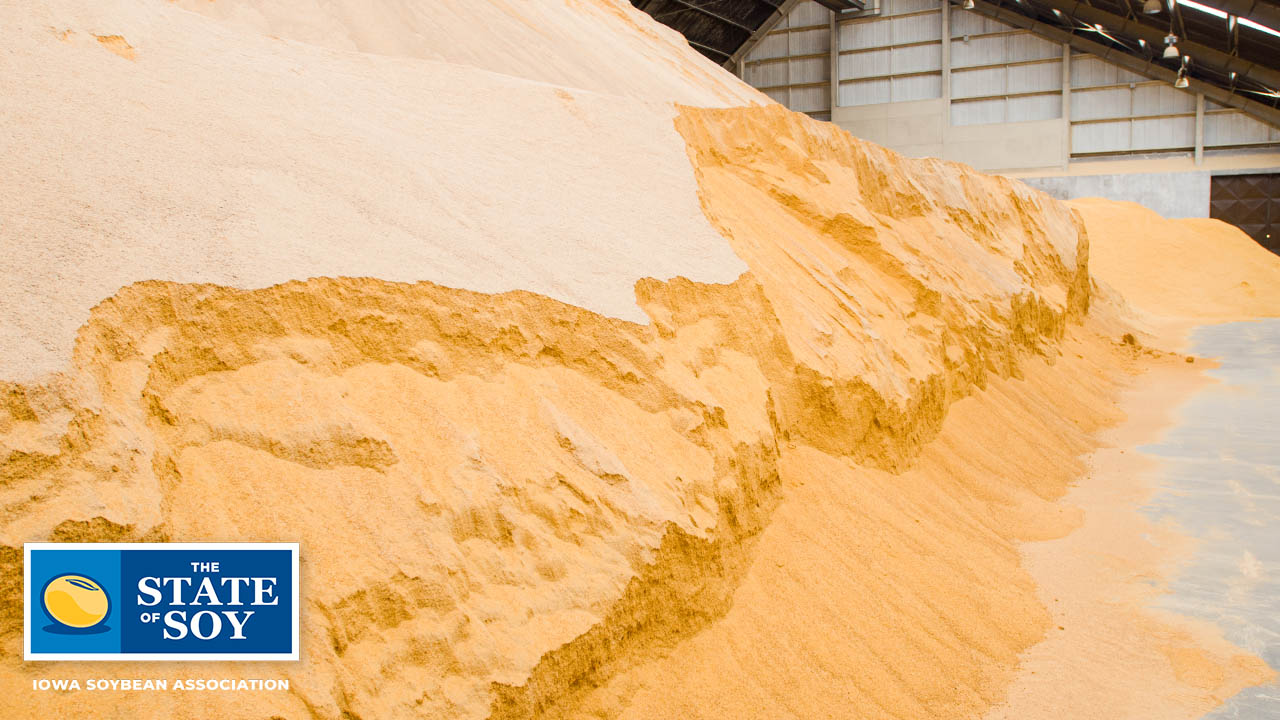 Soybean meal in a pile