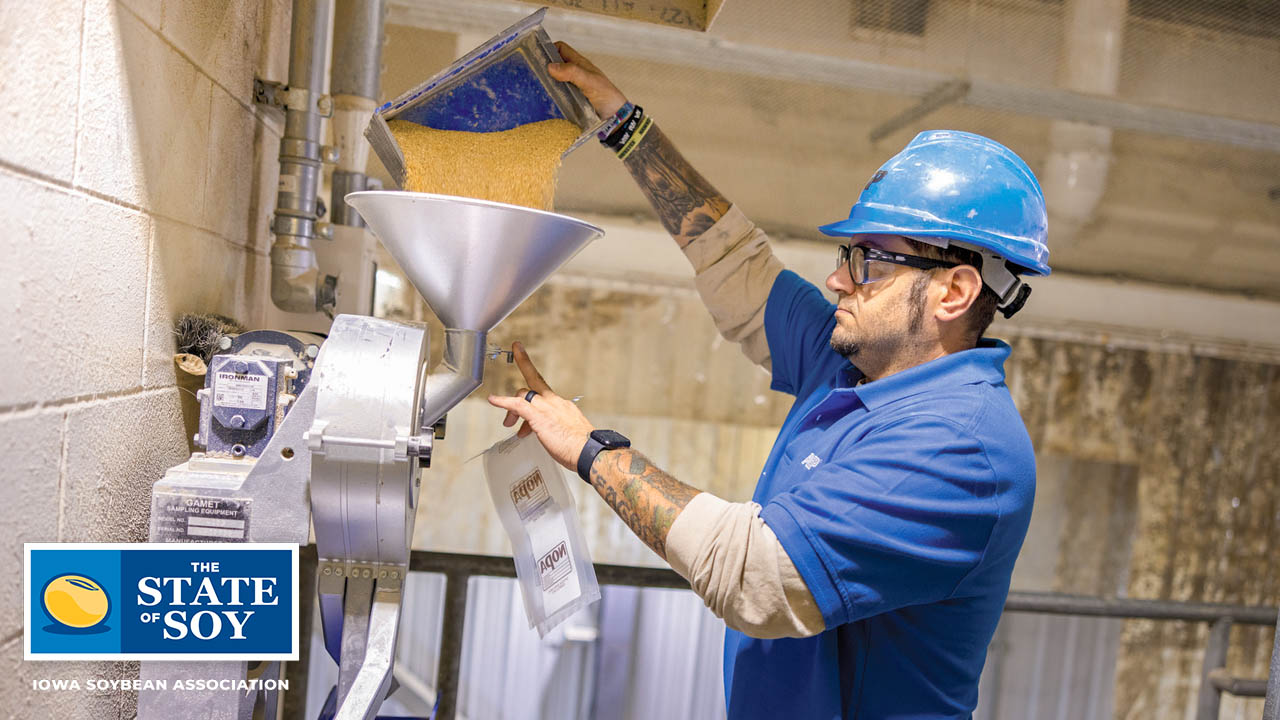 AGP employee working with soybean meal
