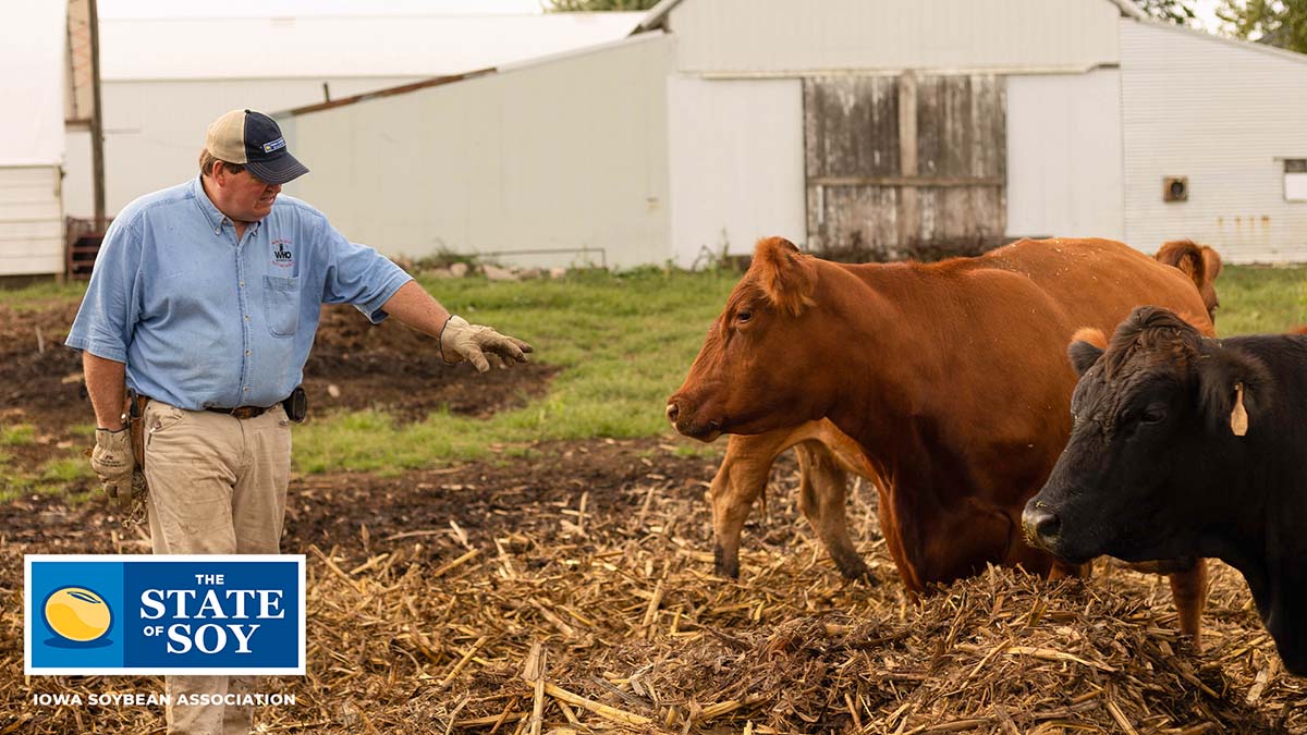 Dave Struthers out with cattle
