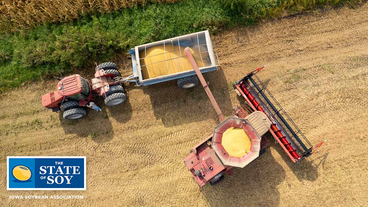 Combine loading up grain cart.