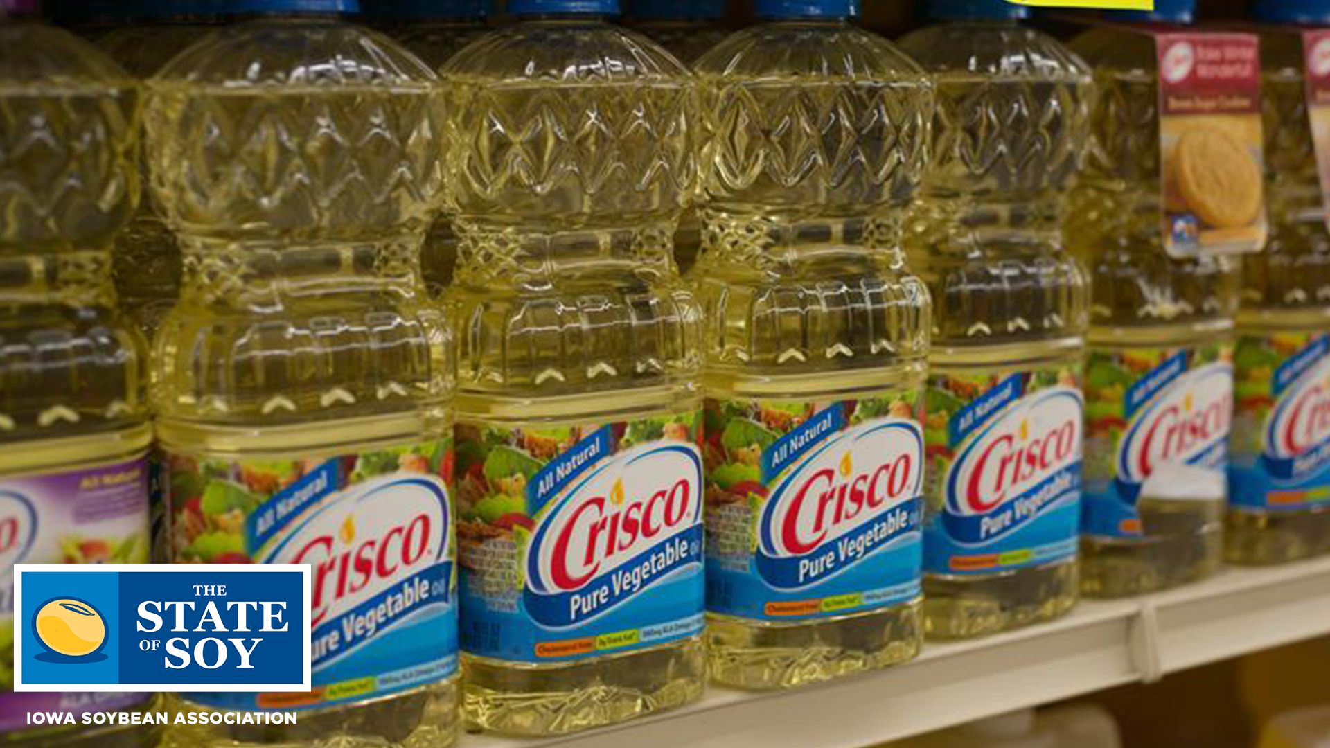 Soybean Oil Used for Cooking
