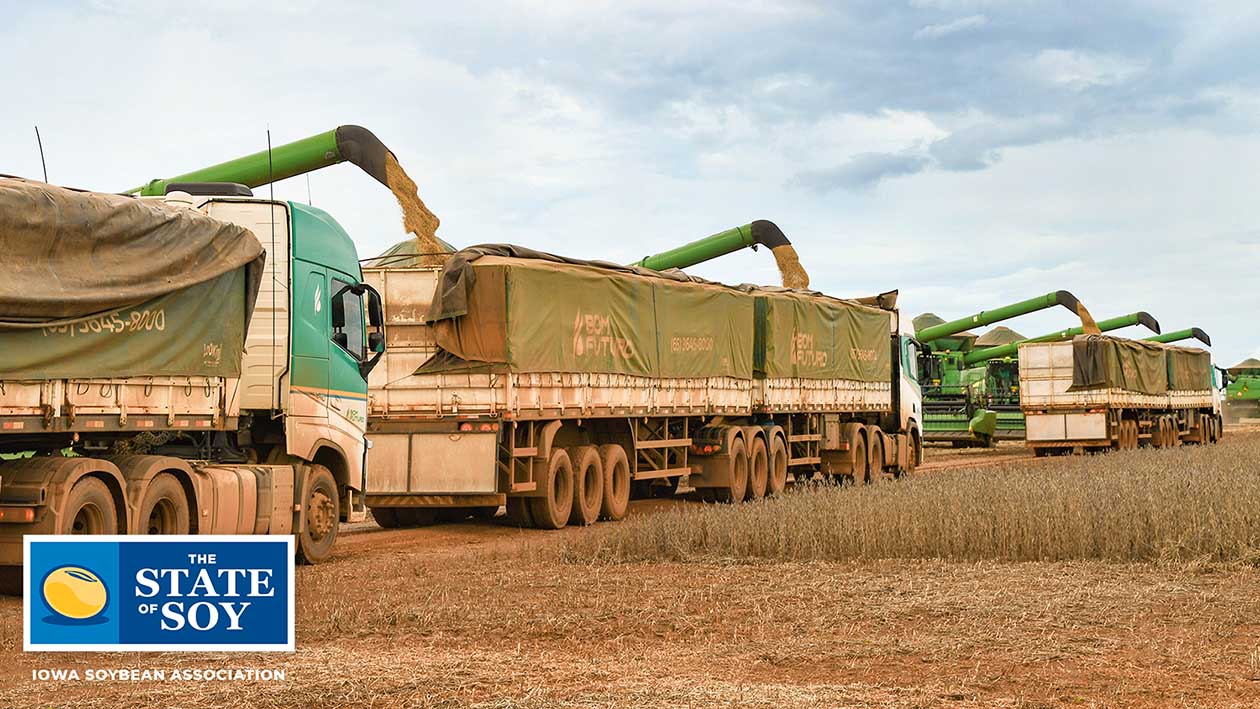 Brazilian soybean farmers unloading combines