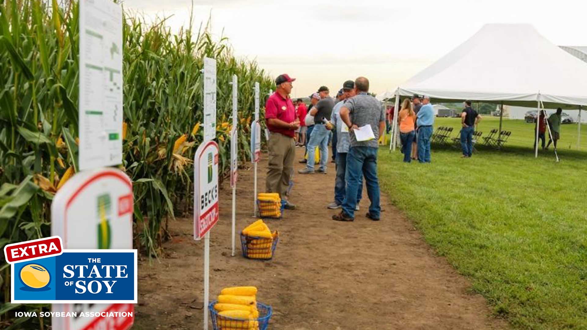 Field day with Beck's Hybrids