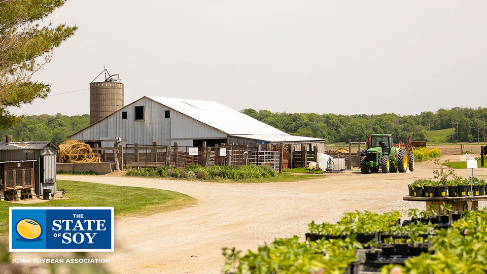 Farmstead in Iowa