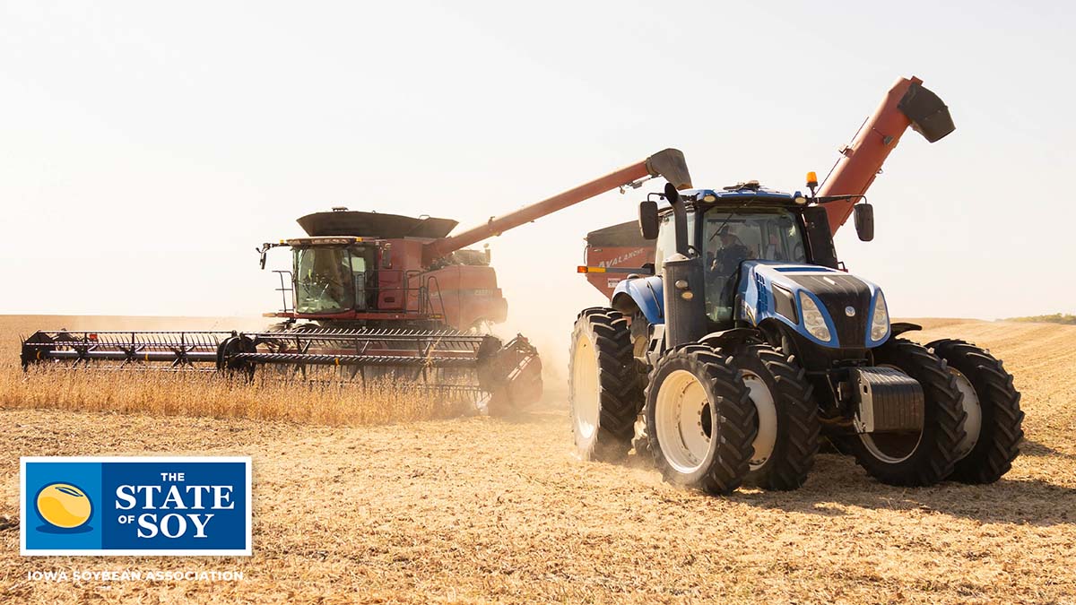 Red combine harvesting soybeans in Iowa