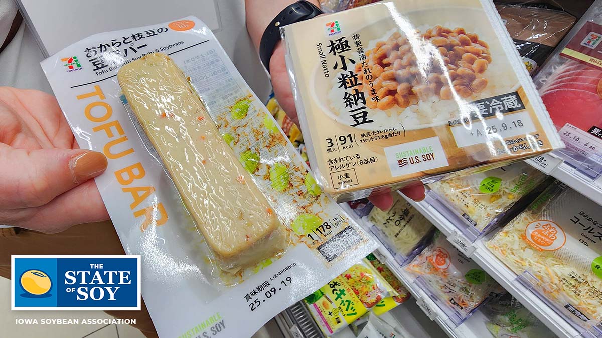 Soyfoods in Northeast Asia