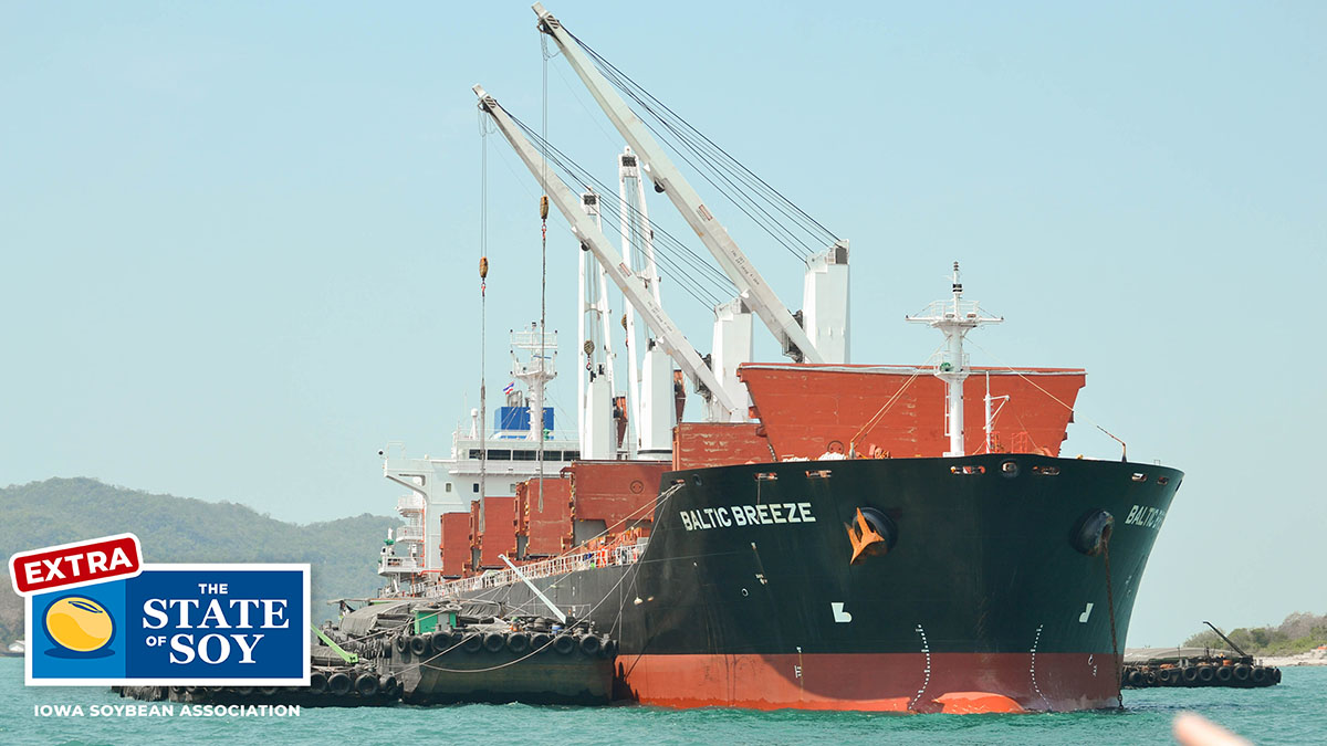 Large ocean vessel carrying ag products