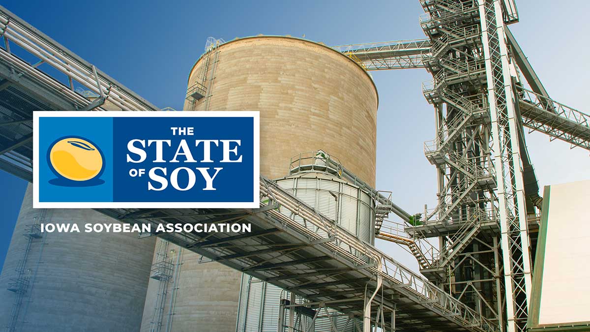 Large grain terminal near port