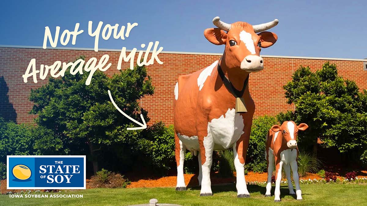 Cow and calf statues at dairy