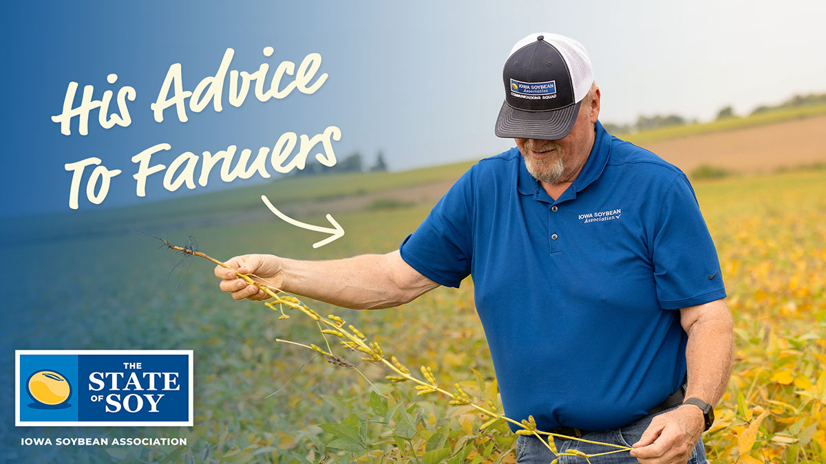 Farmer in his soybean field checking research trial
