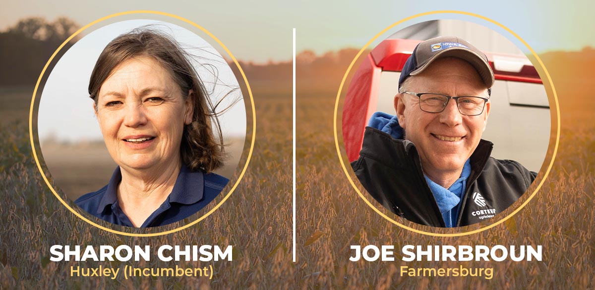 Two candidates running for director elections at-large