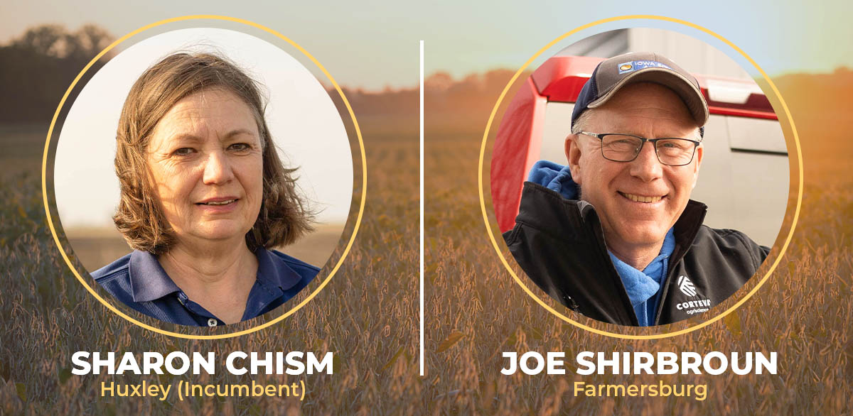 Director Election At-Large Race 2 Candidates