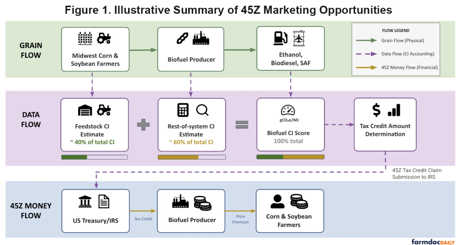 45Z Operation Flow Chart showing how grain, data and money flow for 45Z