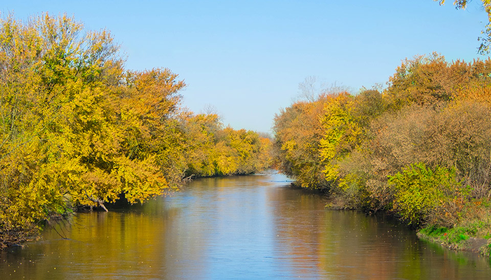 River cutting through trees in Iowa