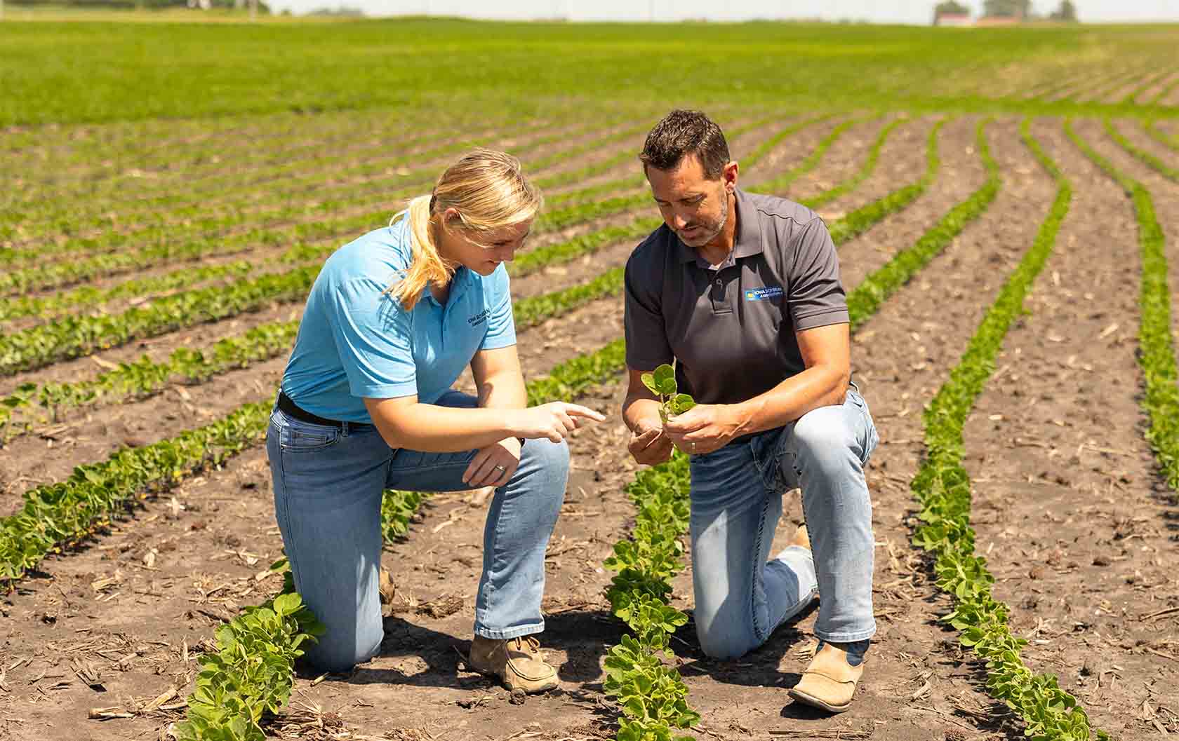 Research Agronomists