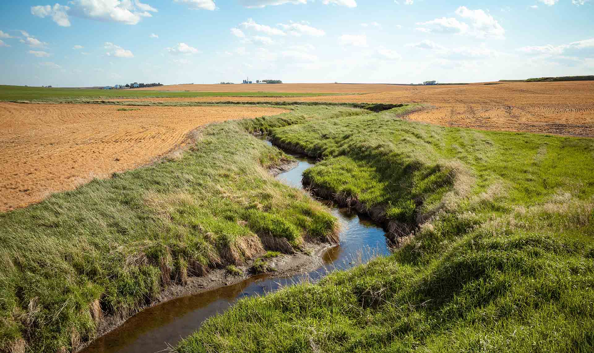 Stream going through field with conservation practices