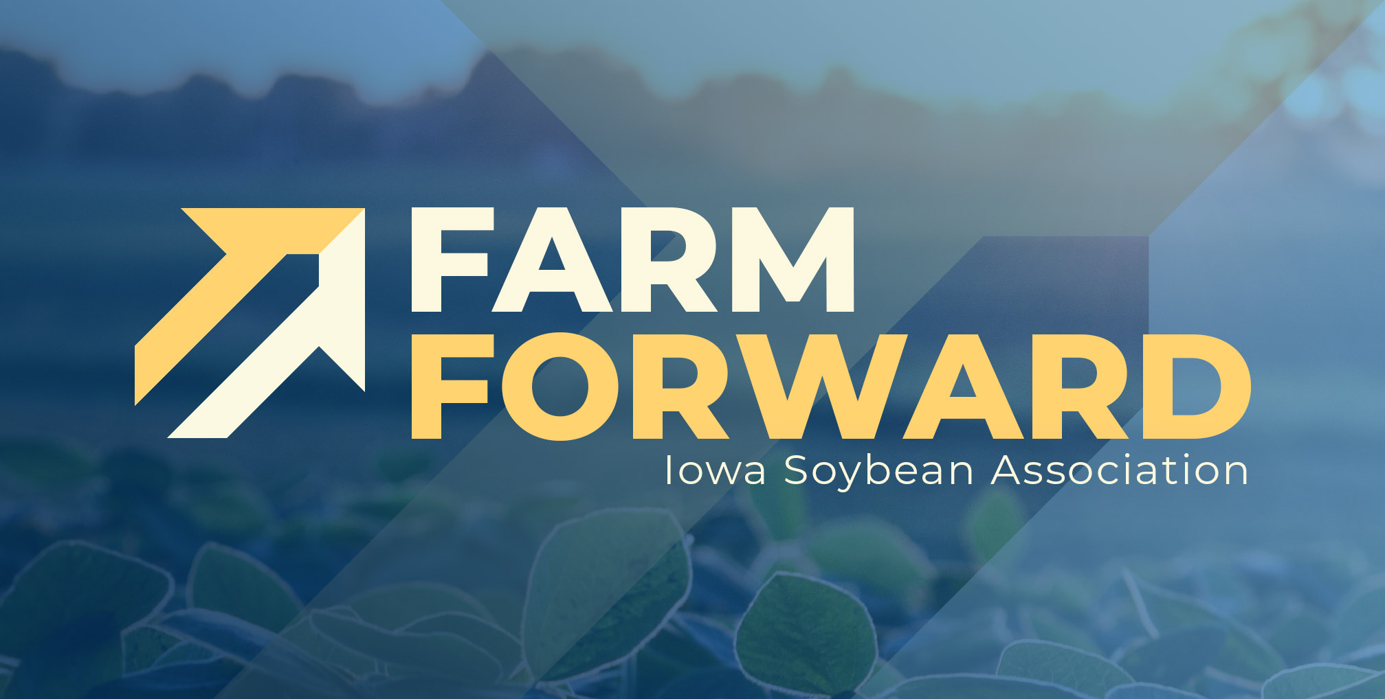 Graph promoting an upcoming soybean event