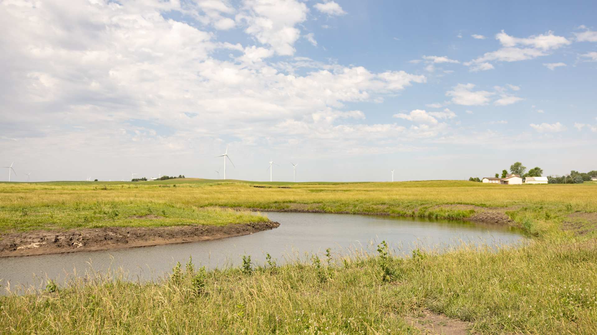 Restored Oxbow in and Iowa Field