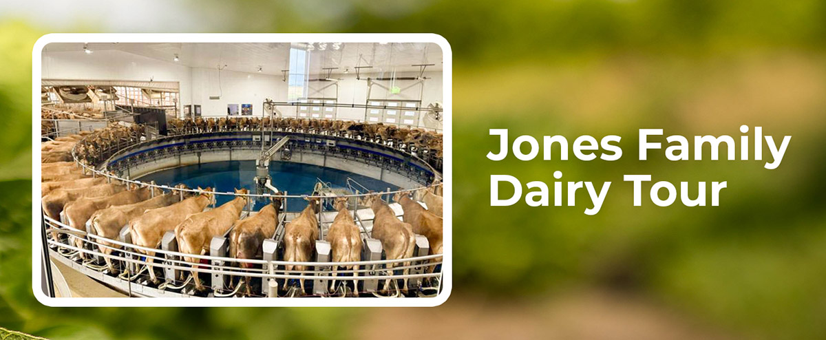 Jones Family Dairy Rotary milking parlor near Milford