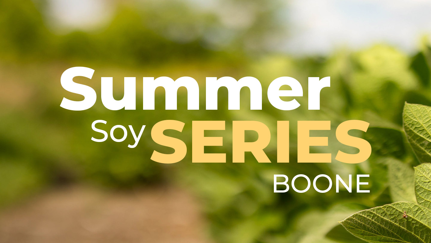 Graphic for soybean event in Boone