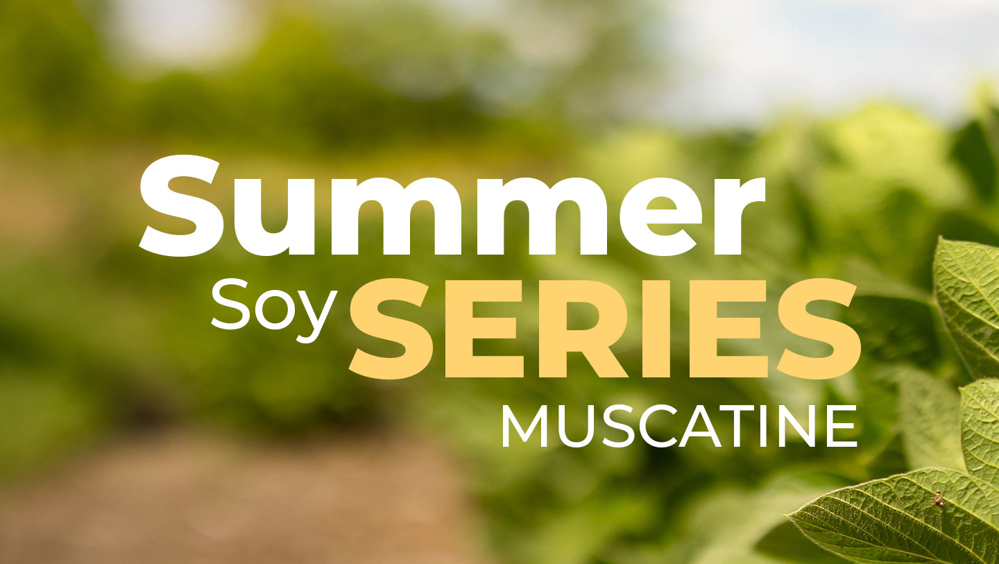 Graphic promoting soybean event in Muscatine