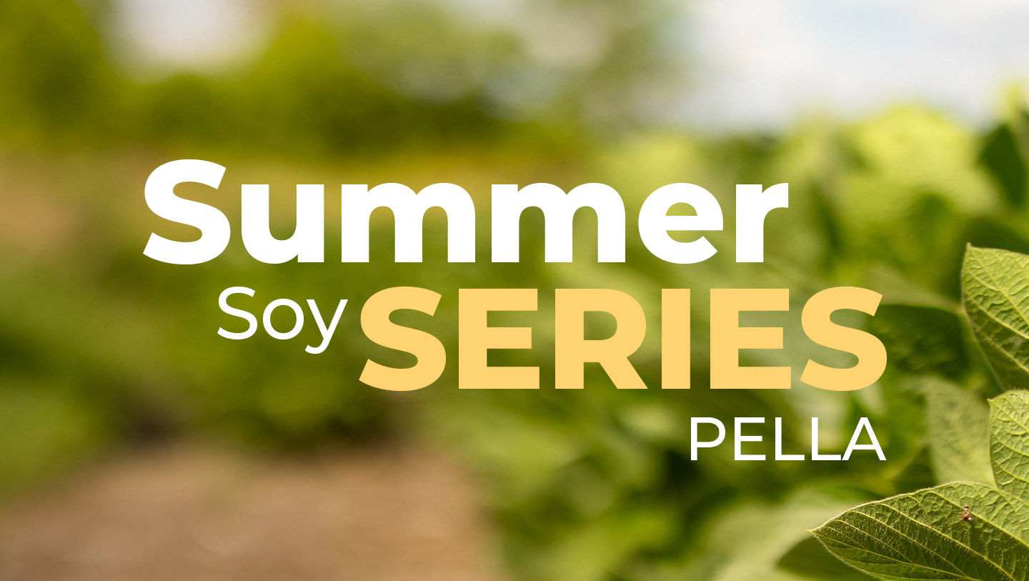 Graphic promoting soybean event in Pella