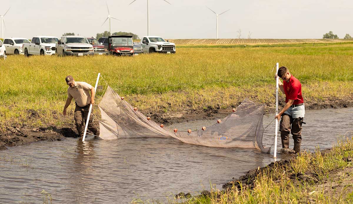 Counting wildlife in an oxbow