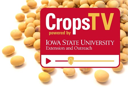 ISU CropsTV logo with soybeans behind it.