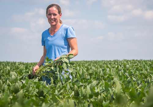 ISA director and farmer Steph Essick stands in her field.